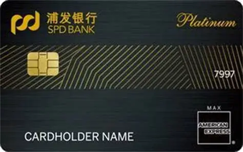 浦发银行 美国运通白金卡 (AE白)